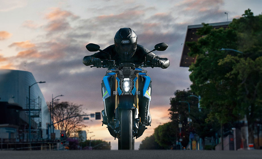 GSX-S1000 (6)